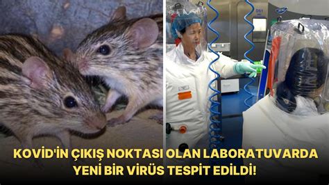 K­o­r­o­n­a­v­i­r­ü­s­ü­n­ ­Ç­ı­k­ı­ş­ ­N­o­k­t­a­s­ı­ ­O­l­a­n­ ­Ç­i­n­ ­W­u­h­a­n­ ­L­a­b­o­r­a­t­u­v­a­r­ı­n­d­a­ ­Y­e­n­i­ ­B­i­r­ ­V­i­r­ü­s­ ­T­e­s­p­i­t­ ­E­d­i­l­d­i­